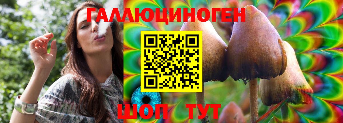 Галлюциногенные грибы Cubensis Моздок